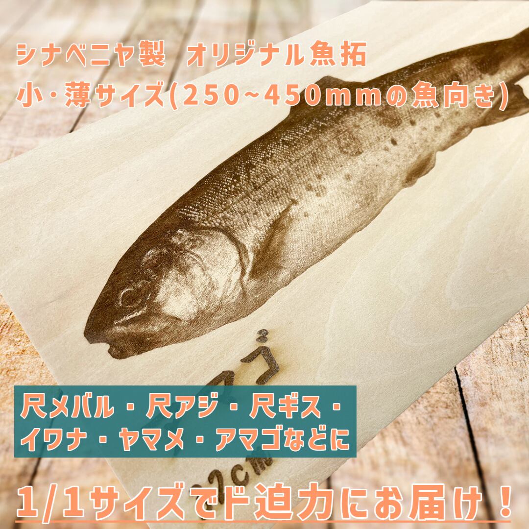 小・薄サイズ】シナベニヤ製 オリジナル魚拓【250～450mmの魚に