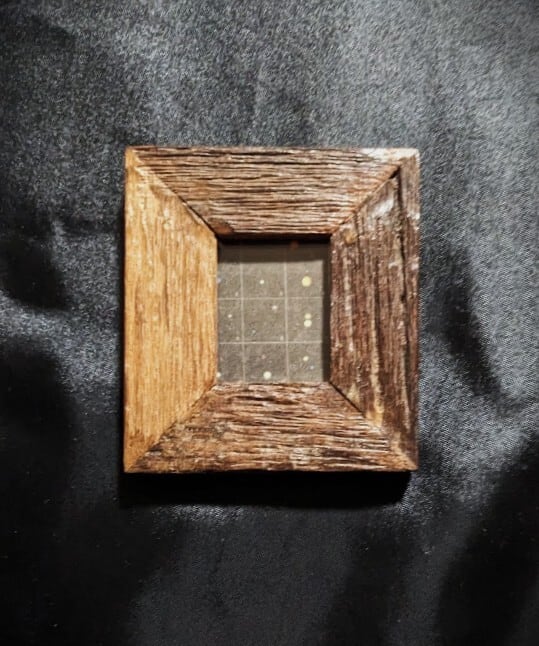 標本箱／建石修志 | 月光百貨店