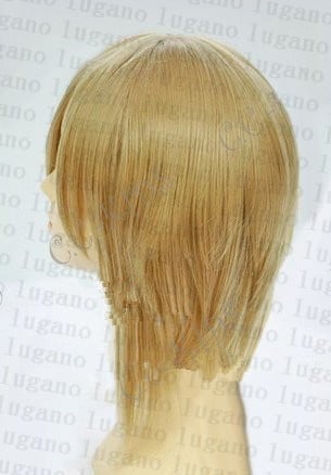 W2081 Axis powers ヘタリア リヒテンシュタイン 風 コスプレウイッグ