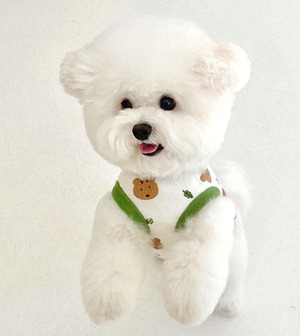 ドッグ 犬 キャット 猫 小型犬 チワワ ヨークシャテリア 服カテゴリ ドッグウェア 室内着 タンクトップ タイト スリム ベーシック アニマル かわいい カジュアル ラフ 個性的 存在感 春 夏 お出かけ お泊まり アウトドア キャンプ 海 公園 休日 散歩 室内 インスタ映え XS S M L XL 白 ホワイト 黄色 イエロー 緑 グリーン ネズミ マウス リス インパクト