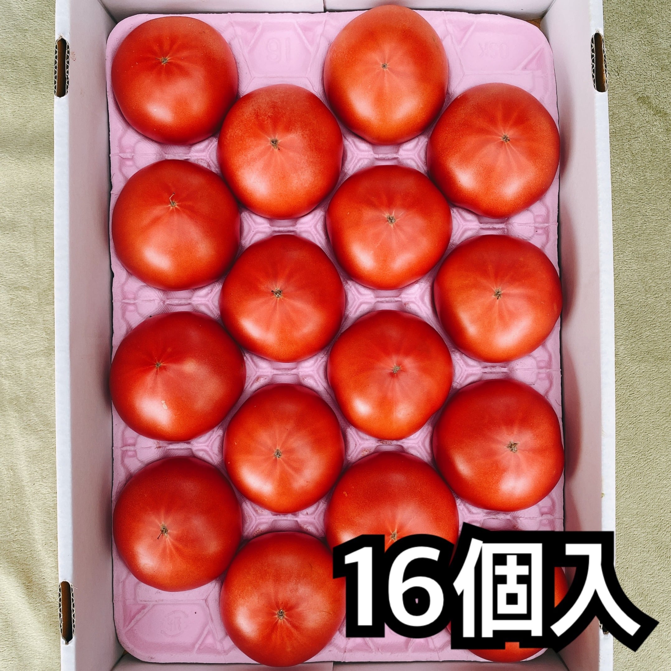 大玉16個入　新鮮桃太郎トマト　２５００円　4㎏以上　Kumazakifarm