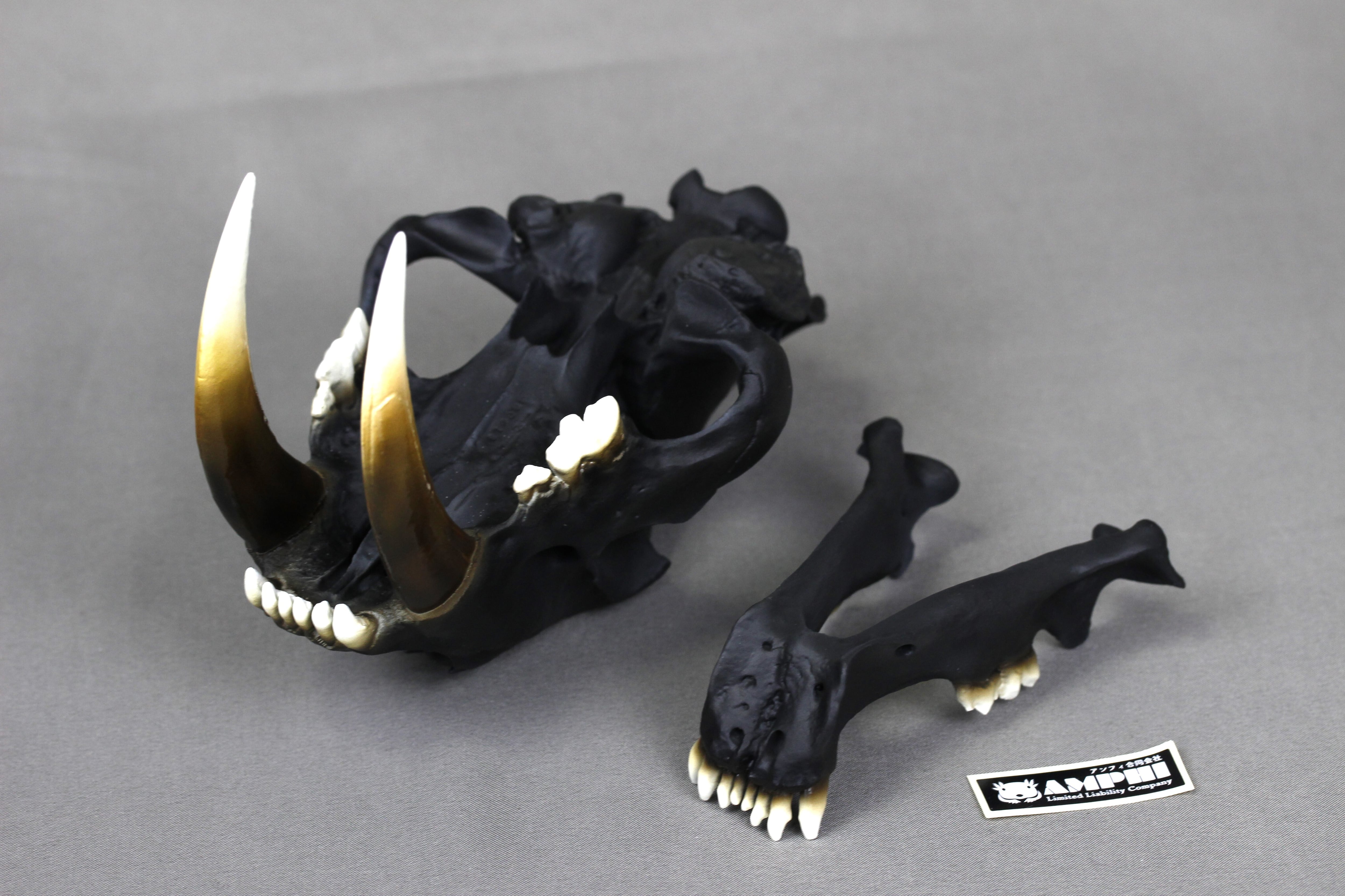 サーベルタイガー 頭骨レプリカ2分の1サイズ【 スミロドン Smilodon