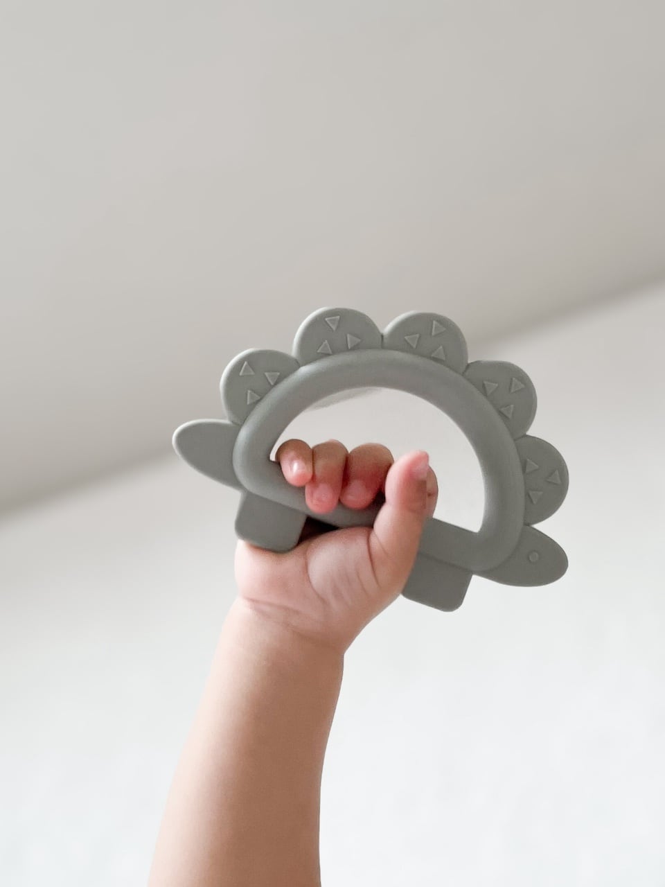 歯固めパーツキット fika gift set】holder×Dinosaur teether (恐竜歯固め) set | fika