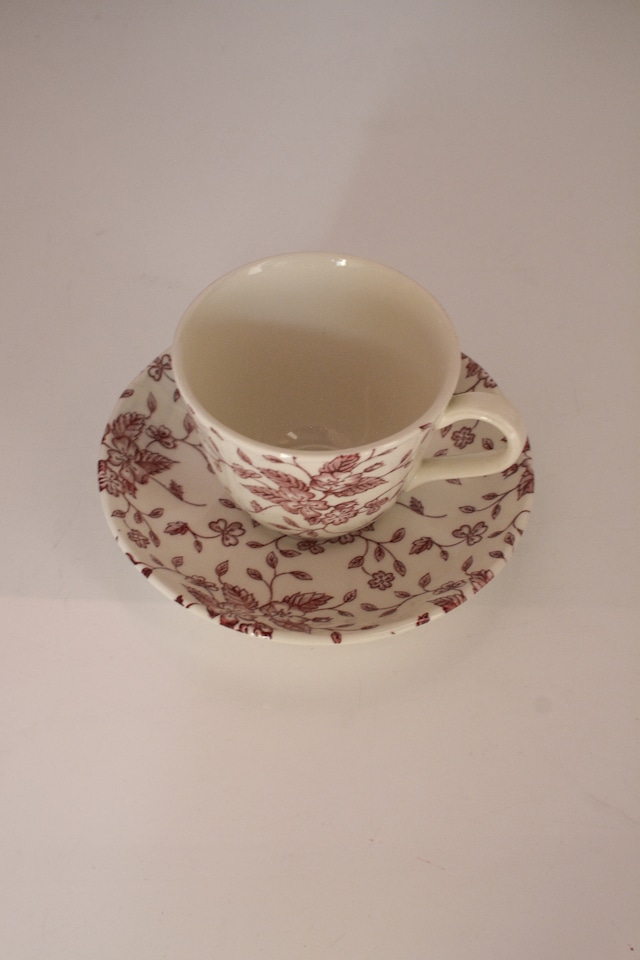 vintage cup & saucer Grindley  Royal Tudor Ware Bouquet