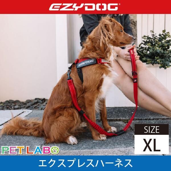 EZYDOG(イージードッグ) エクスプレスハーネス(XLサイズ) 犬用 胴輪 散歩 ハンドル付き 反射機能 EVA製パッド