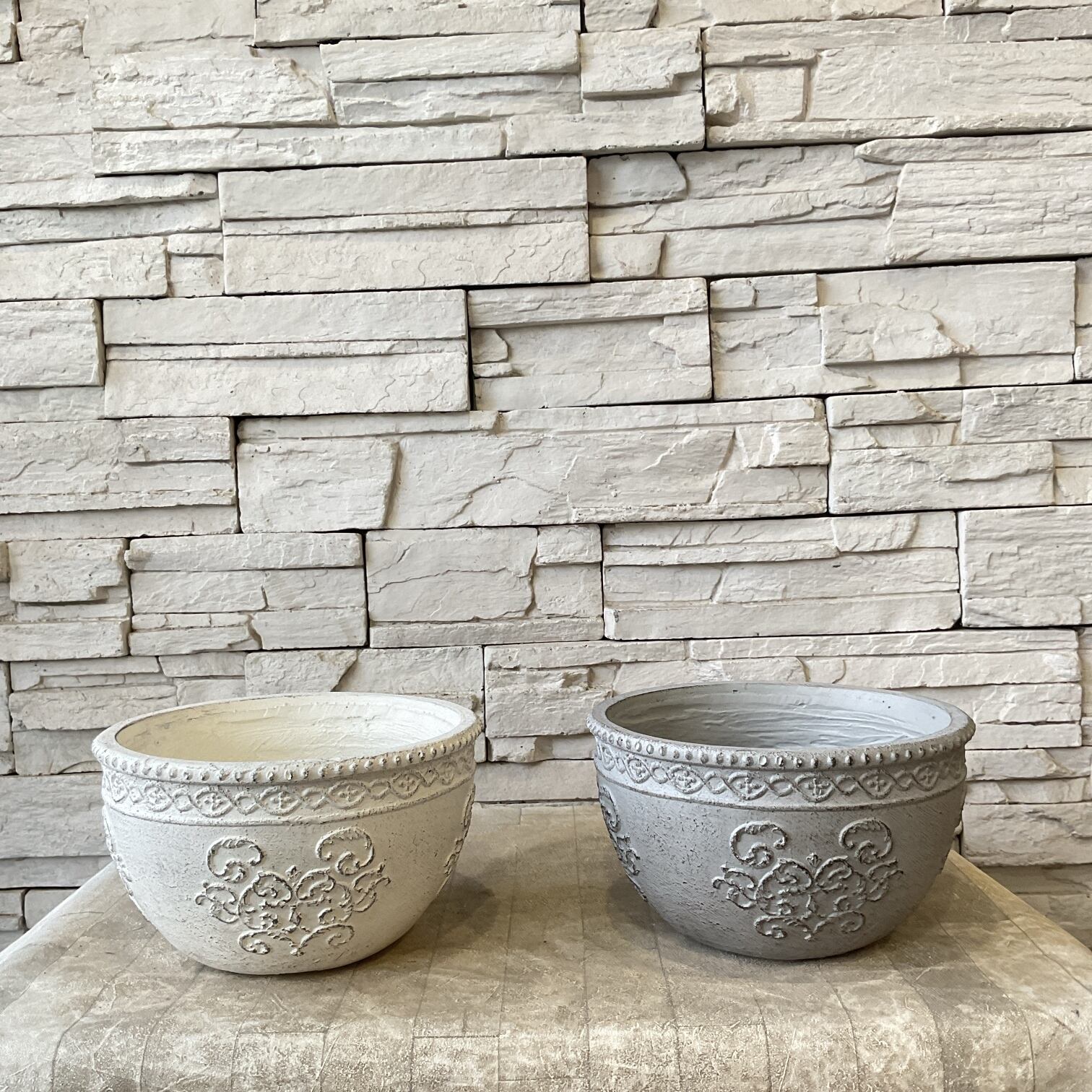 プリムラ レトロボックス | 橋本種苗園