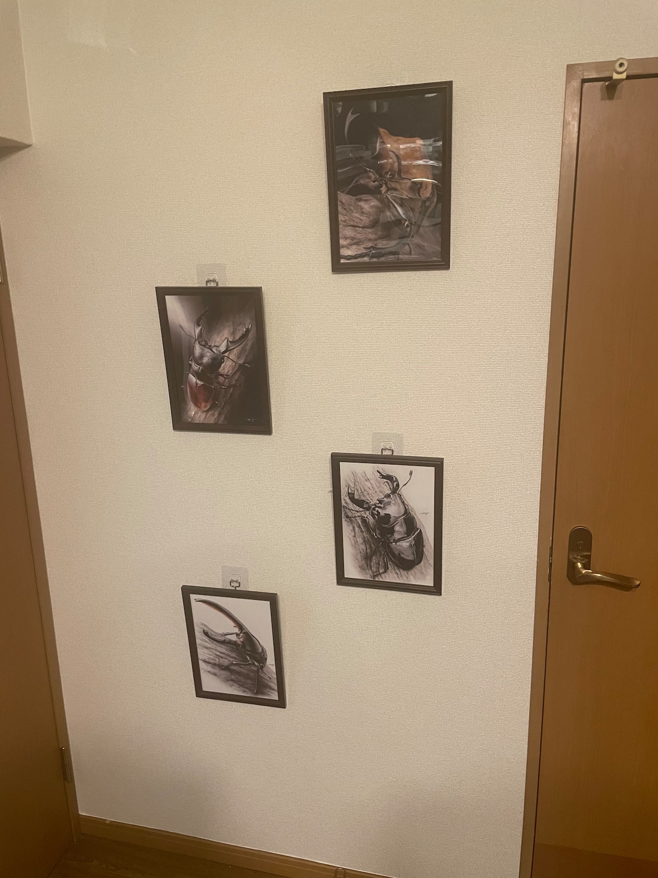 色鉛筆画 1枚(全23種)【複製画】