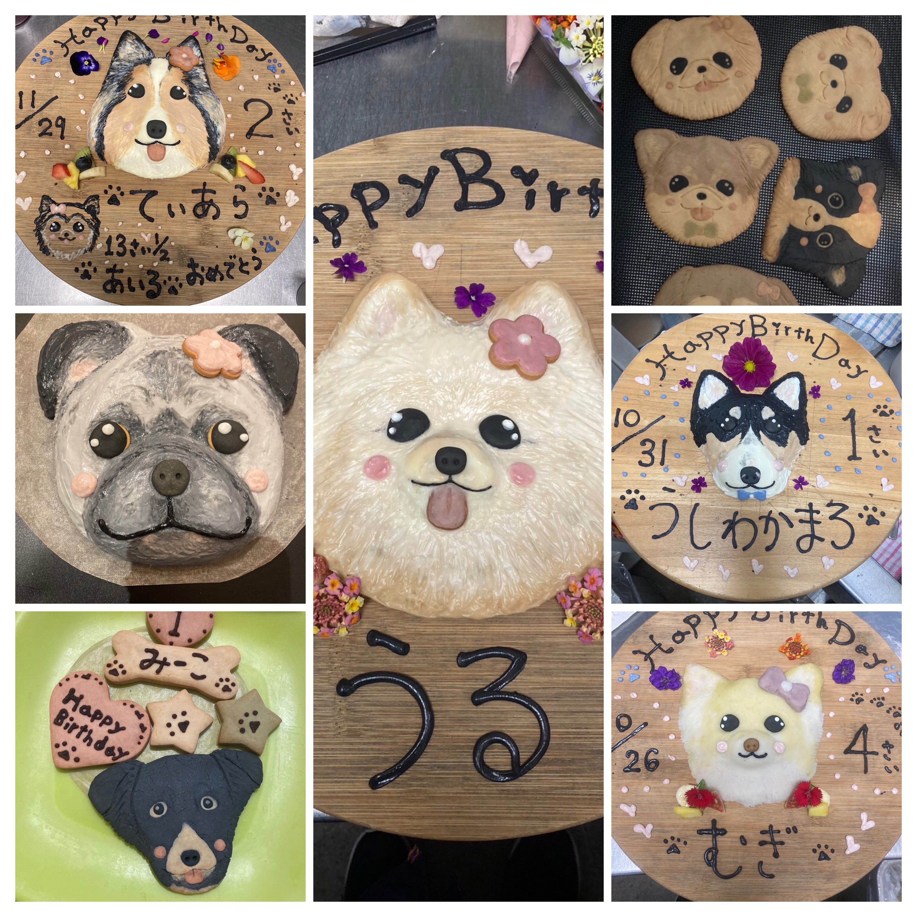 わんちゃんお誕生日お顔ケーキ | トラットリア ラノッキオ