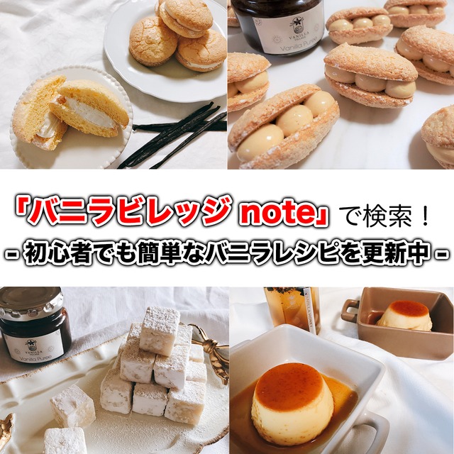 セット 完全無添加・バニラ蜜 50g +ブルボン種 バニラビーンズ 30本 VANILLA VILLAGE バニラシロップ