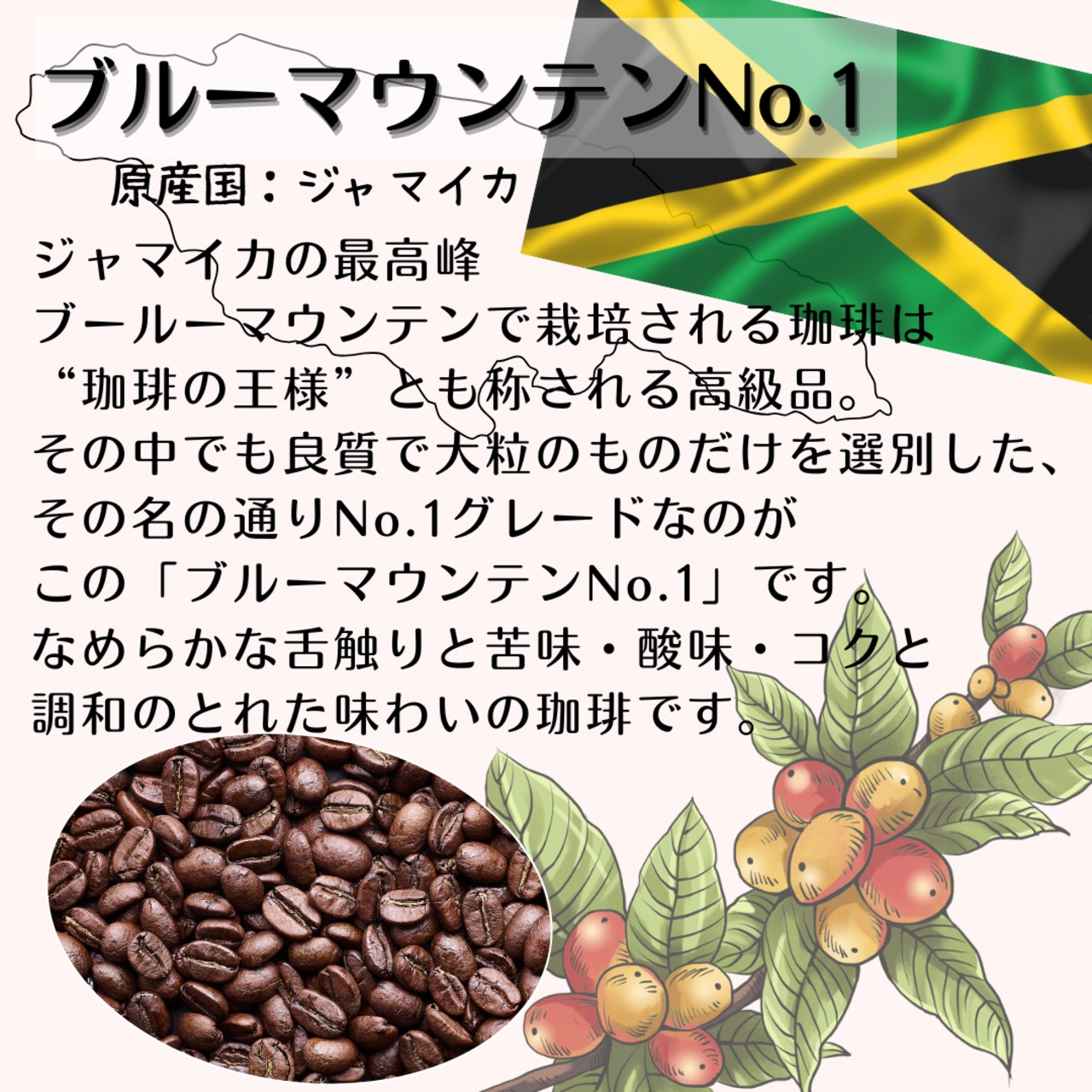 ●ブルーマウンテン№.1(ジャマイカ)