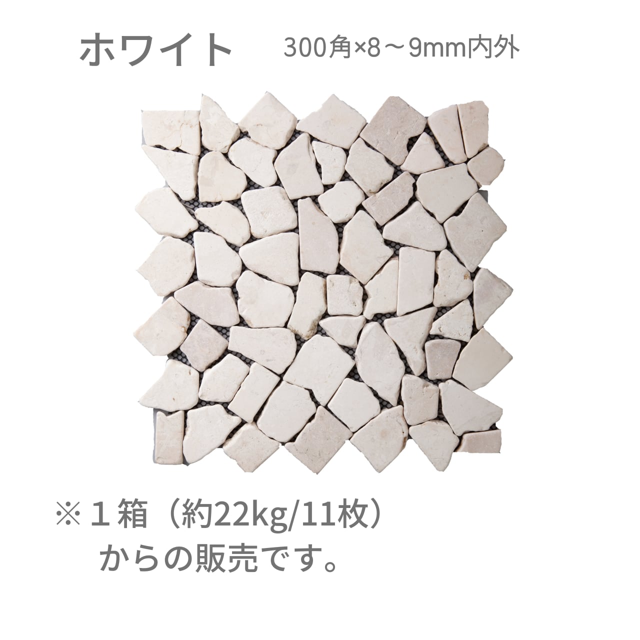 トスカーナシーナリー TOSCANA SHENERY