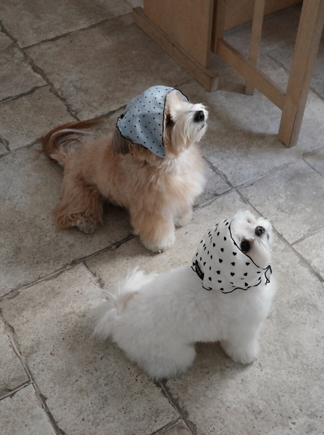 予約【OHDIBS】Tiny Love Scarf (2color)