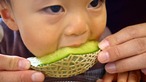 クリスマス食べ頃でお届け【限定生産】幻の赤肉メロン1玉入（送料込）※1玉1.4kg以上