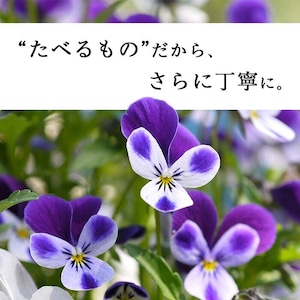 【87farm】食べられる押し花 10枚(季節ミックス)