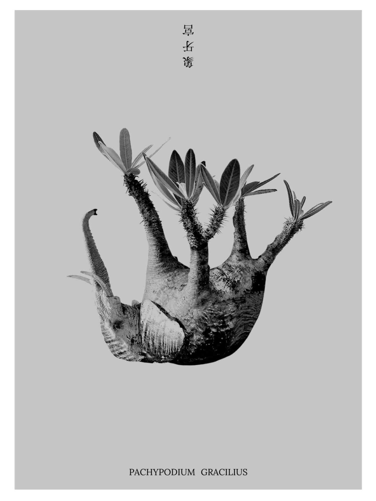 GORE PLANT collaboration poster ポスター TOKYO CULTUART by BEAMS（トウキョウカルチャートバイビームス