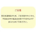 【受注生産】 のれん のれん  濃厚スープ_文字 幅85ｘ丈150cm