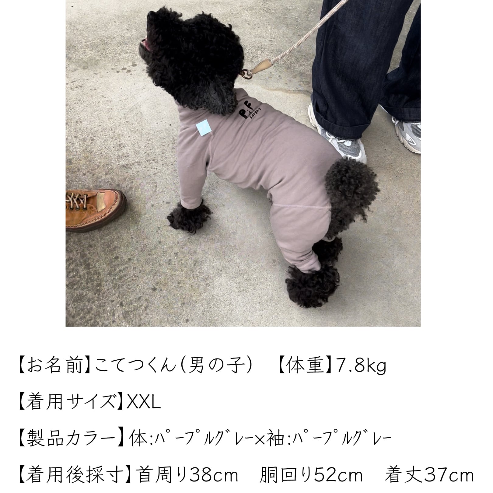 スキンフィット｜トイプードル用｜8size|オーガニックコットン＆抗菌消