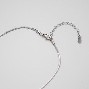 シックスペンスコインラージスネークチェーンネックレス