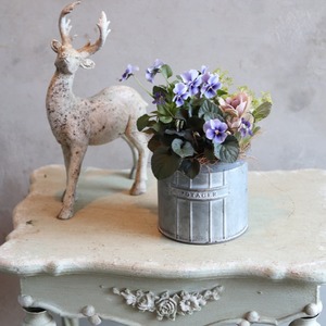 冬から春に楽しむ寄せ植え　北島ビオラとスミレとハボタンのシックな寄せ植え　届いてすぐ玄関に飾れる 　プレゼントにもオススメ　