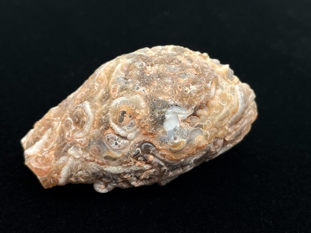 オープンジオード