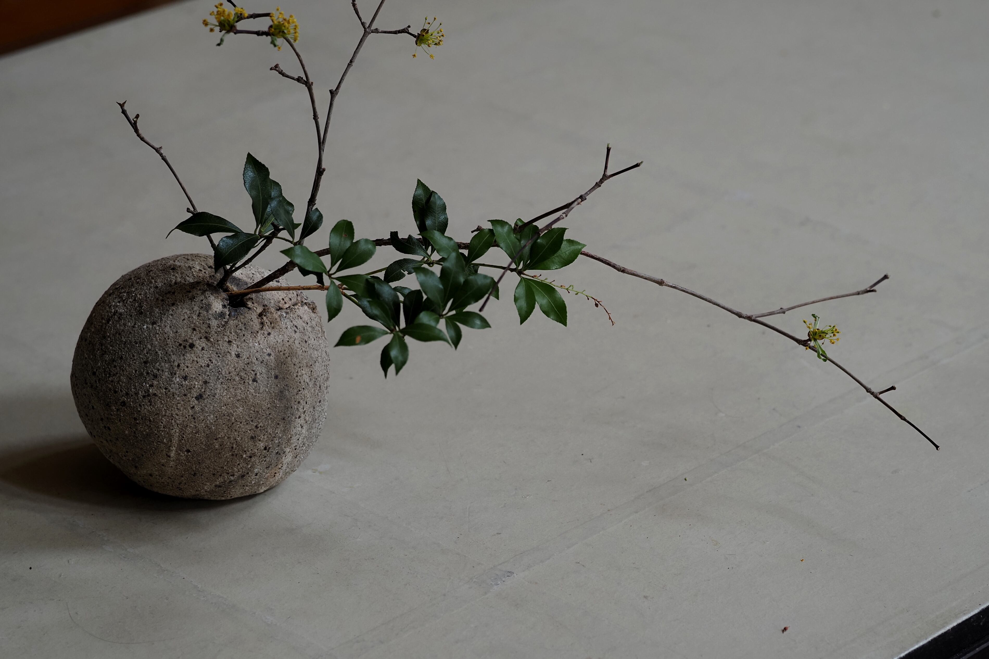 村上躍　白灰化粧器 村上 躍 53.白灰化粧鉢 | 陶屋なづな