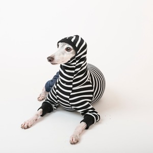 ボーダーファッションロンパース　black / イタグレ服