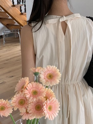 Back Ribbon Dress