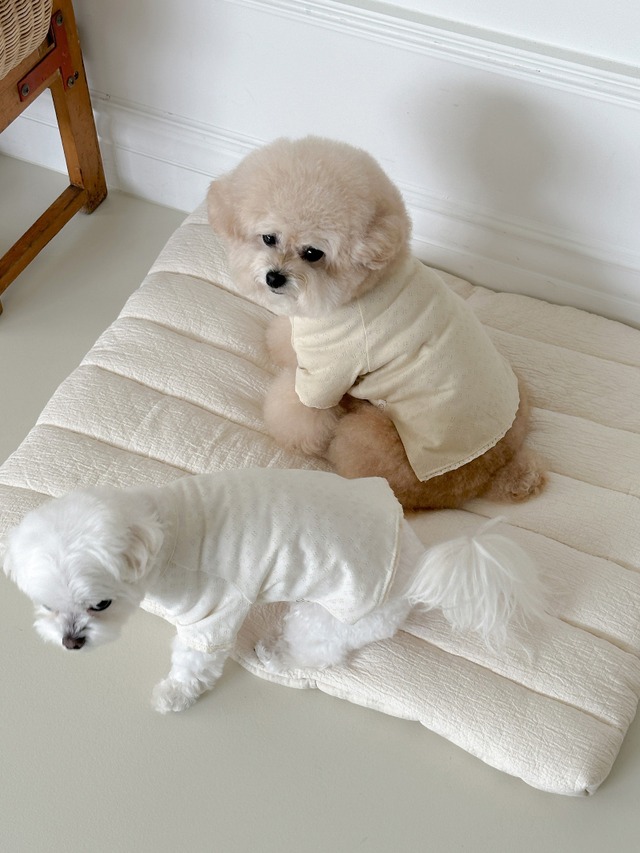 〈予約アイテム〉EYOU アイレットTシャツ(アイボリー )