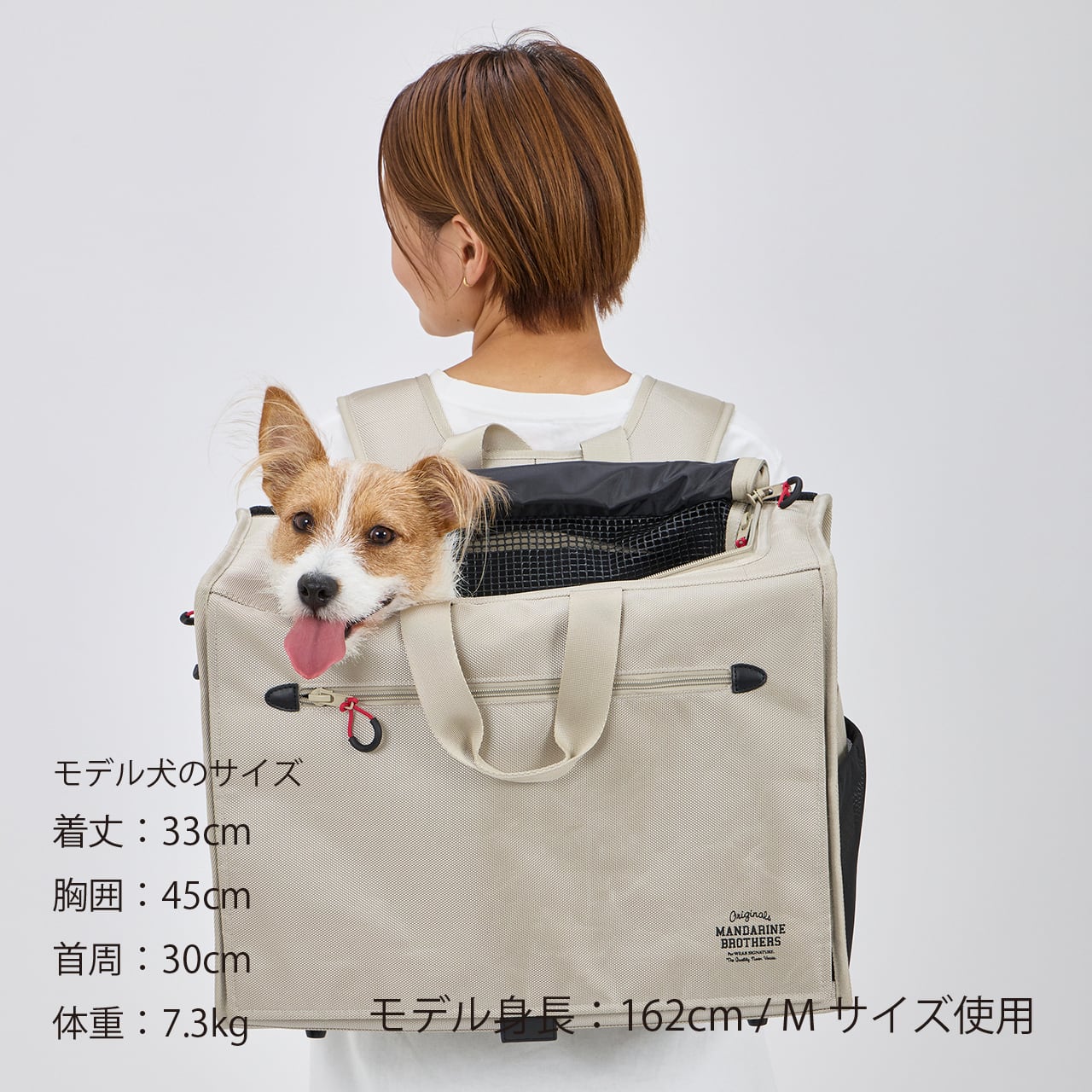 マンダリンブラザーズ ブリクストンキャリーバックパック ワイド M Renewal】BRIXTON CARRY BACKPACK −WIDE−（M）ブリクストンキャリー