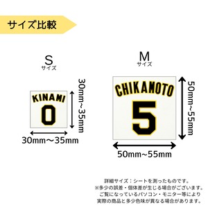 阪神タイガース DTFアイロンステッカー　お楽しみ袋【数量限定】