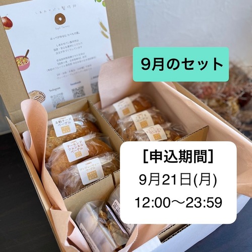 ＊９月のセット＊自家製酵母ベーグル&季節のジャム