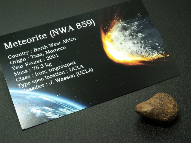 Taza（タザ）隕石【NWA 859 】【13.8g】モロッコ王国タザ州産/鉄隕石