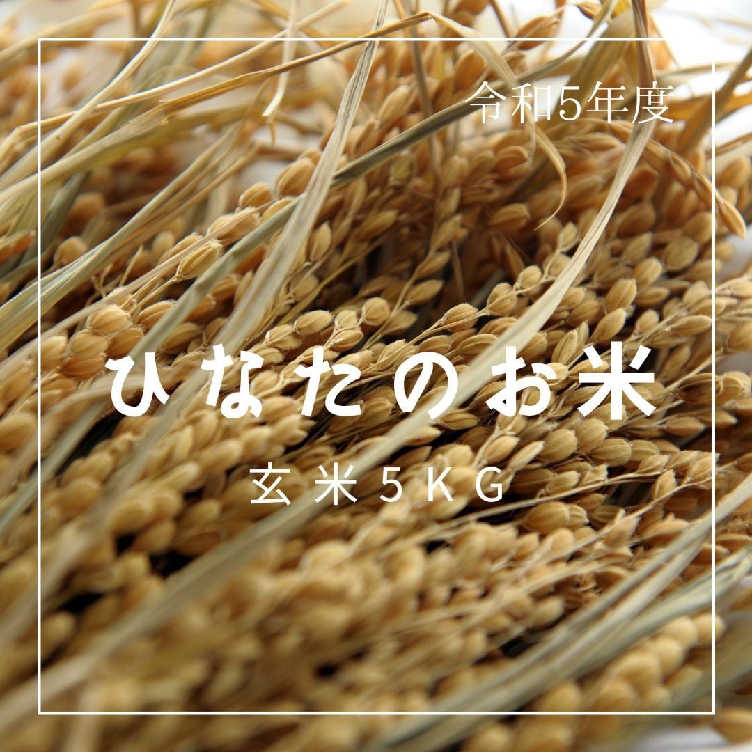 中山農園　玄米　無農薬・無肥料　R5年産　最高に美味しい自然栽培米　ひなたのお米　5kg