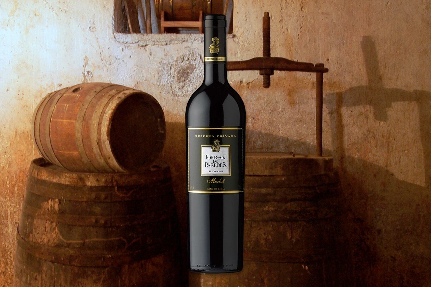 レセルバ・プリバダ メルロ／Reserva Privada Merlot（N17）