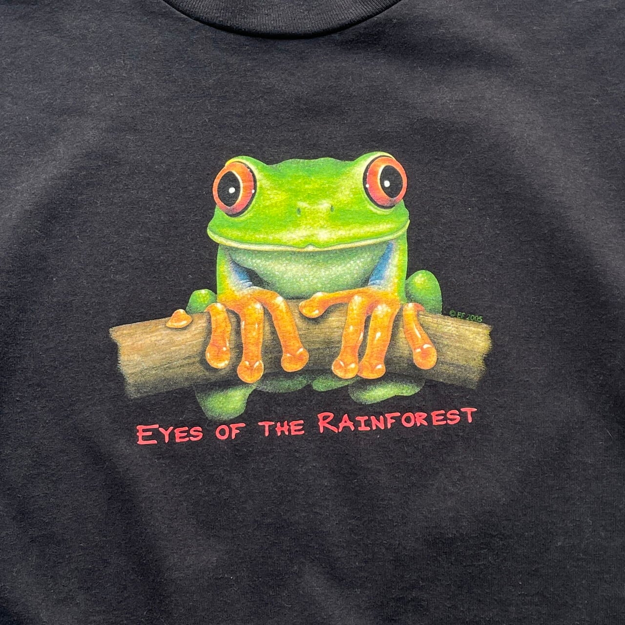 00年代 USA製 EYES OF THE RAINFOREST カエル プリント Tシャツ メンズ 