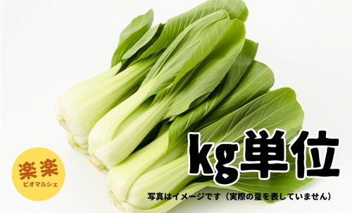 チンゲン菜（大容量お得サイズ・㎏単位）