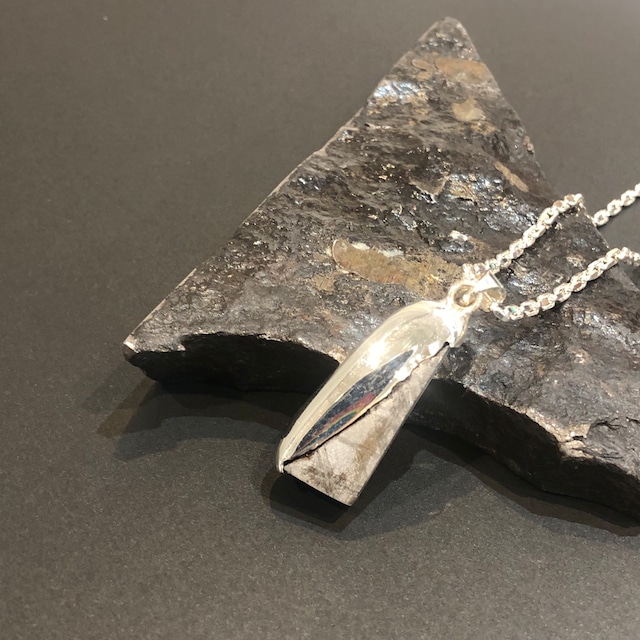 ギベオン隕石★SV925ネックレス（T-32）