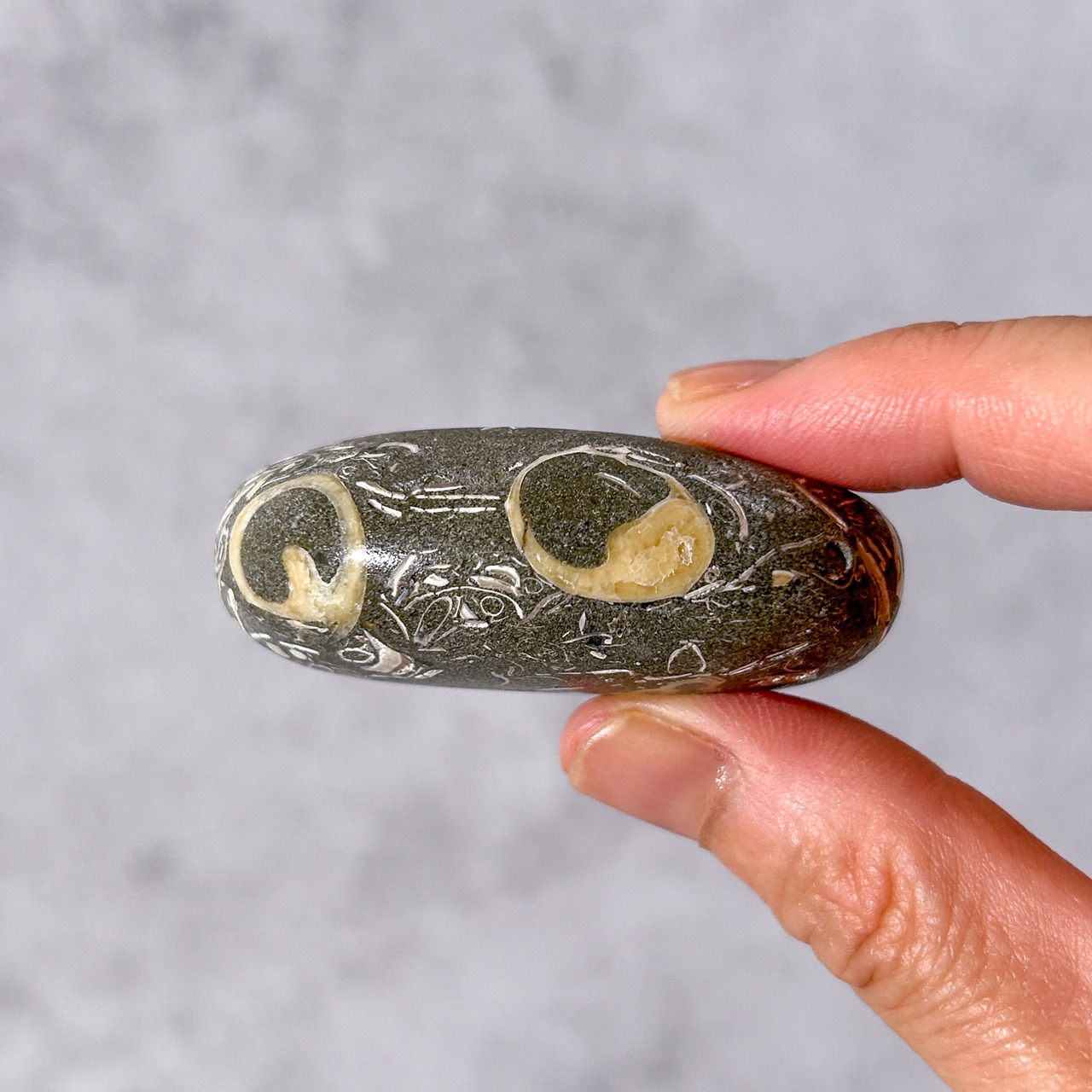 ツリテラアゲート 03 パーム * Turitella Agate * 天然石