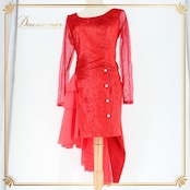 社交ダンス 衣装 ラテン ドレス ワンピース レッスンウェア パーティドレス レディース 赤 Scarlet スカーレット レッド系 レース 長袖 高品質 おしゃれ フェスティバル 体型カバー 存在感 輝く 赤色 デザイン ドレスアップ パーティ 着心地 抜群 試着 結婚式 特別な日 楽しい ダンス フィット 縫製 伸縮性 お祝い