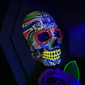 SKULLFRAME Tooth pick holder - Mexican Skull (Neon)
