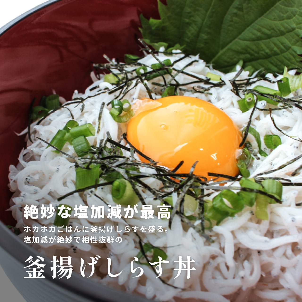 急速冷凍】冷凍釜揚げしらす 250g | 静岡県駿河湾の用宗しらすの通販