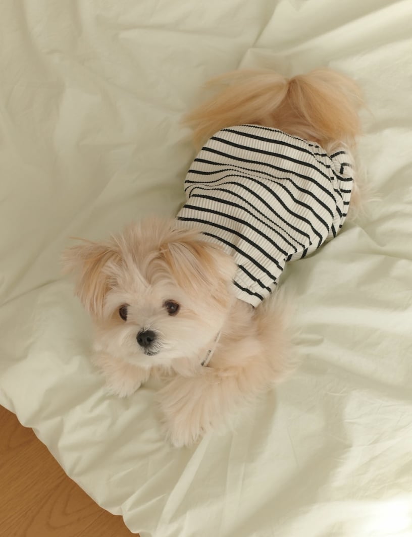 予約【ounce】STRIPE BUNNY ALL IN ONE (White)