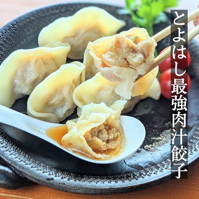 とよはし最強肉汁餃子　1箱（20個入り×1箱）（ 折箱）