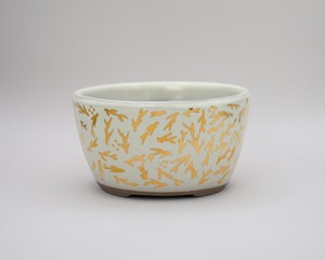 KINSAI POT / 金彩絵付鉢 (一点物)