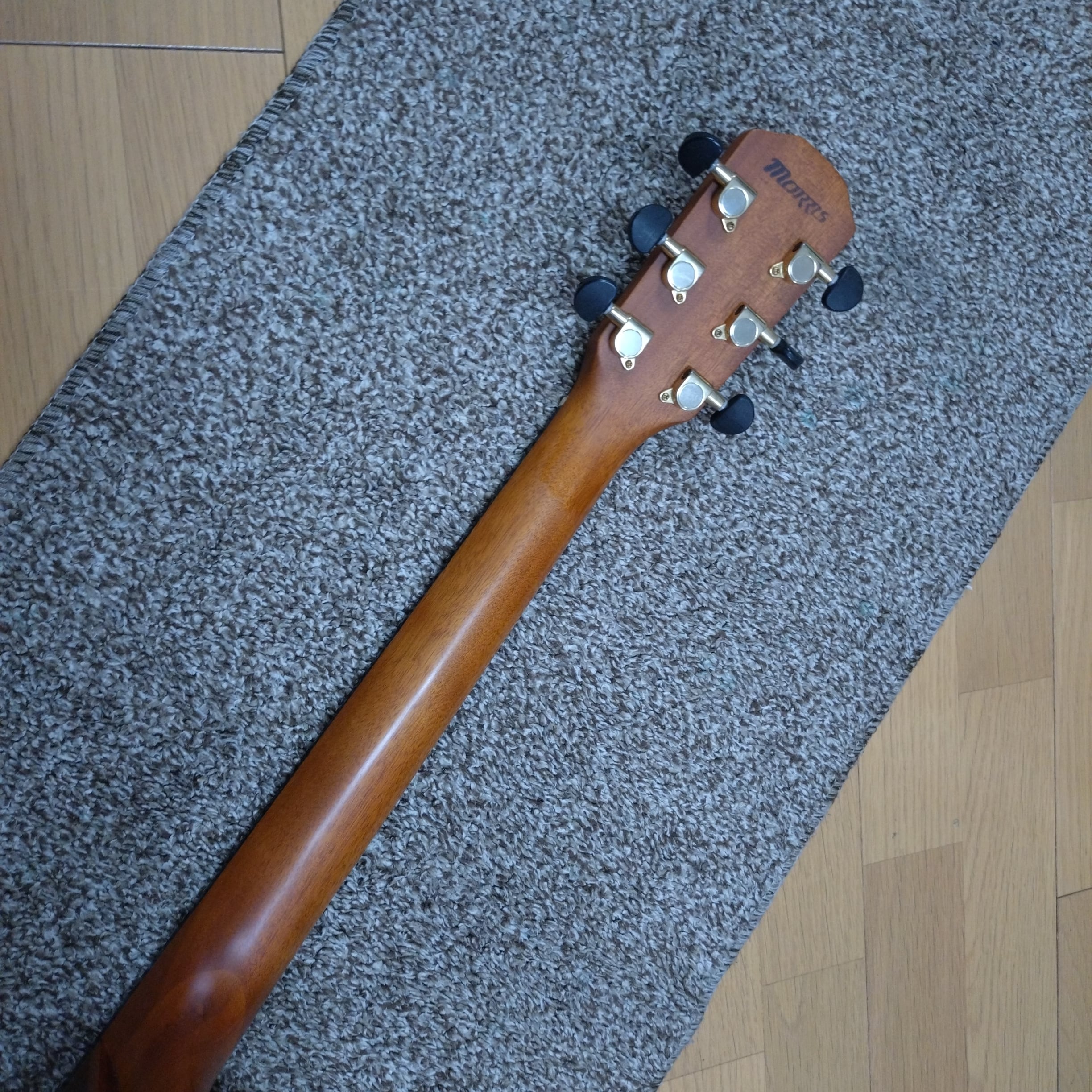 Morris S-30 アコースティックギター ソロギター | 川崎楽器【楽器