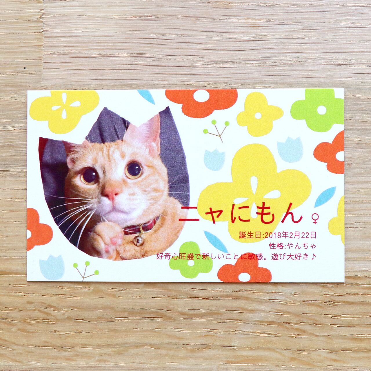 看板ネコ紹介サイトの掲載枠限定】看板ネコちゃんページ修正費