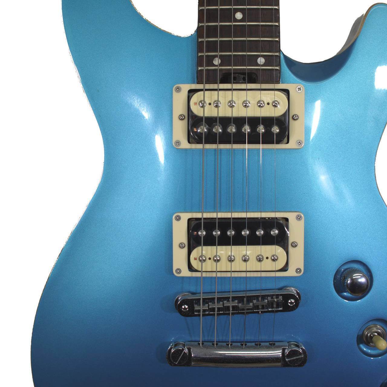 FERNANDES U.S.A. Custom APG-100 エボニー指板／オールド風 Fernandes