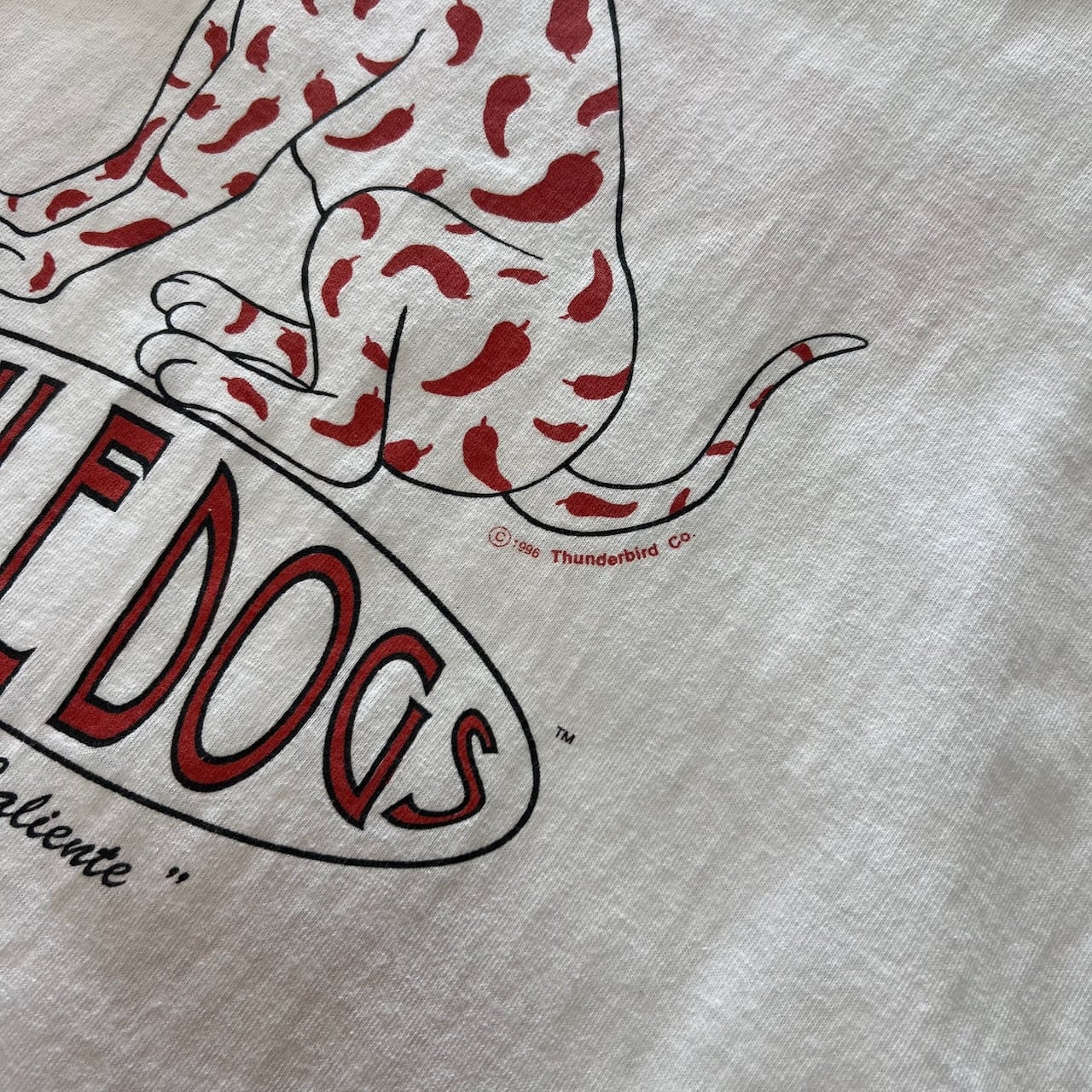 90s USA anvil シングルステッチ 両面プリント CHILE DOGS