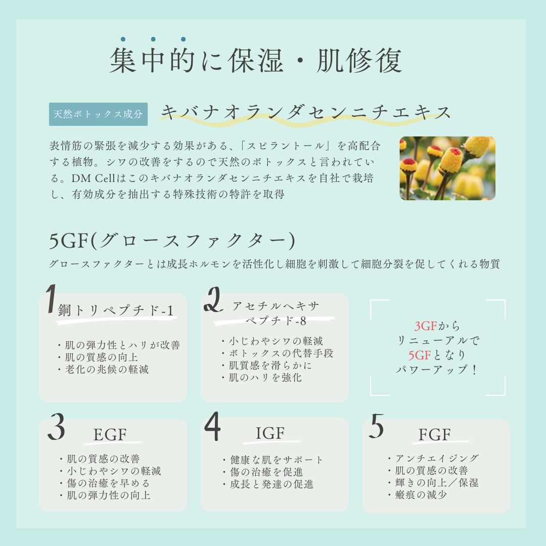 DM.Cell Cosmetics B.T.X. フィトムチンクリーム 50ml［美容クリーム