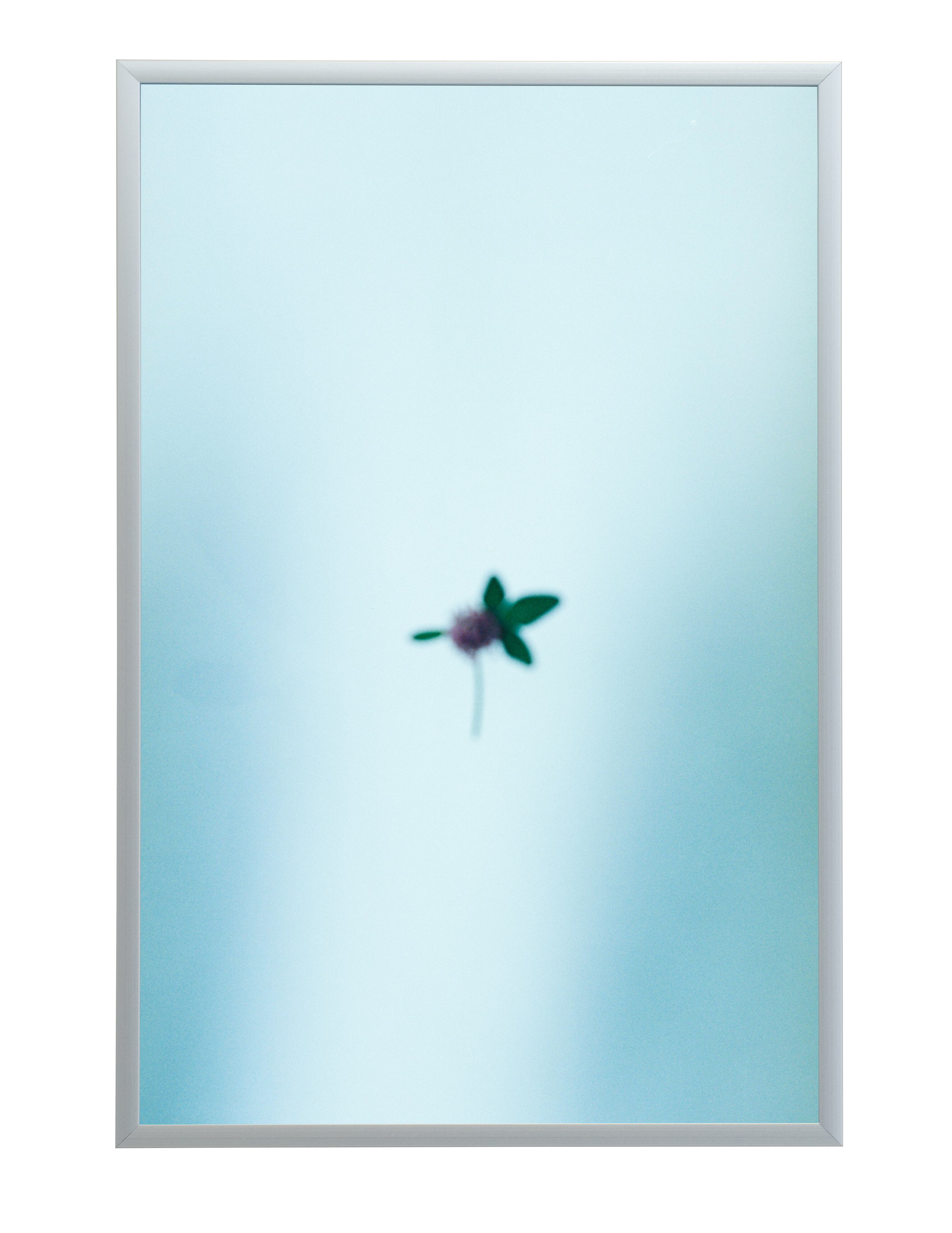 フラワーページ FLOWER #305 | plankton_studio